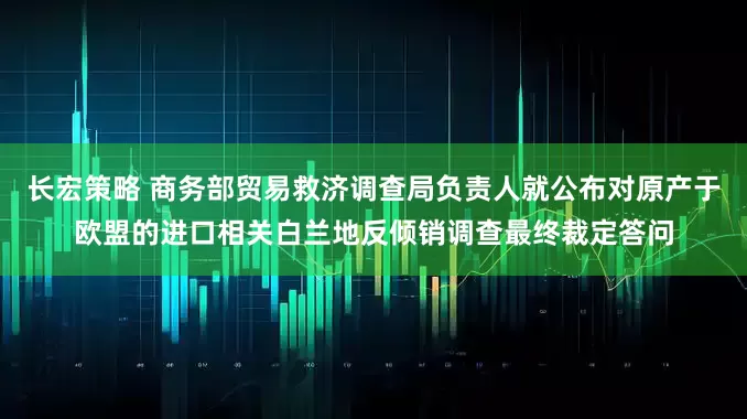 长宏策略 商务部贸易救济调查局负责人就公布对原产于欧盟的进口相关白兰地反倾销调查最终裁定答问